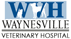 vet logo