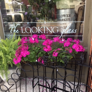 store window with flowers