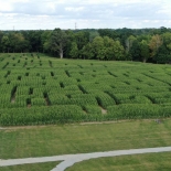 cornmaze