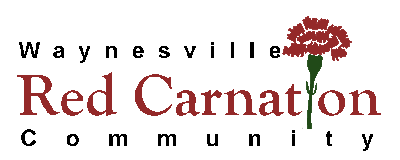 red carnation community image